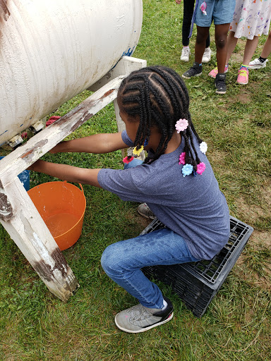 Produce Market «Solly Brothers», reviews and photos, 707 Almshouse Rd, Warminster, PA 18974, USA