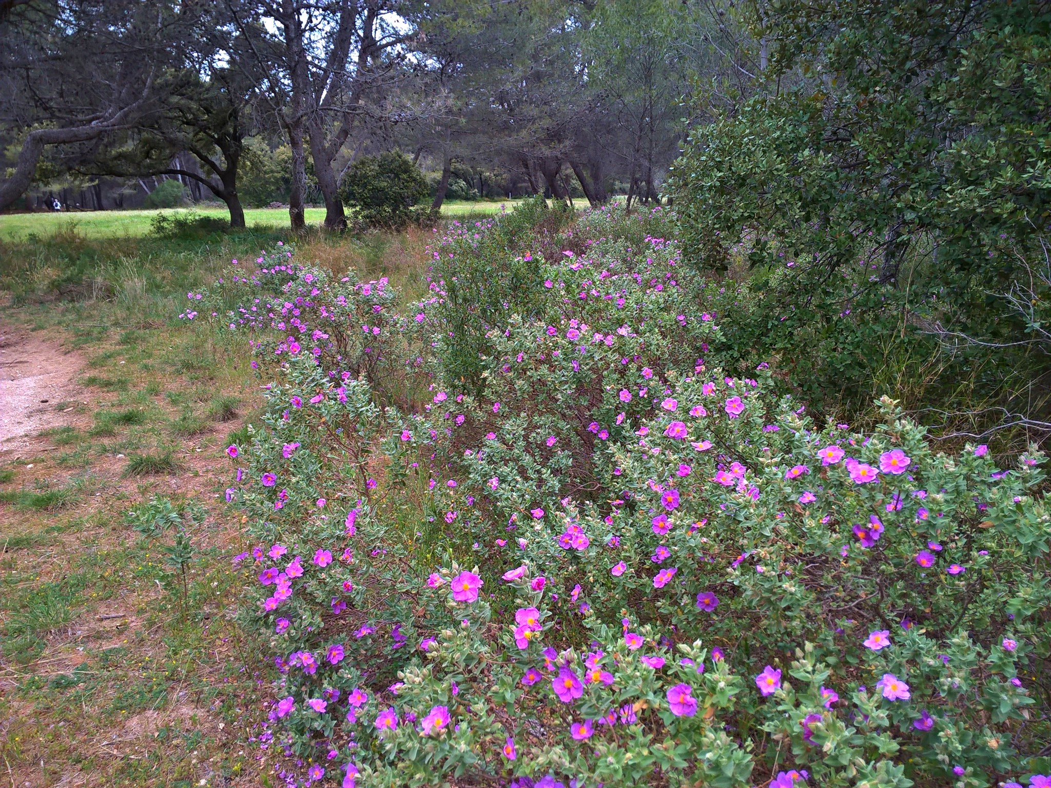 Photo n° 12 de l'avis de priou.i fait le 03/08/2022 à 09:50