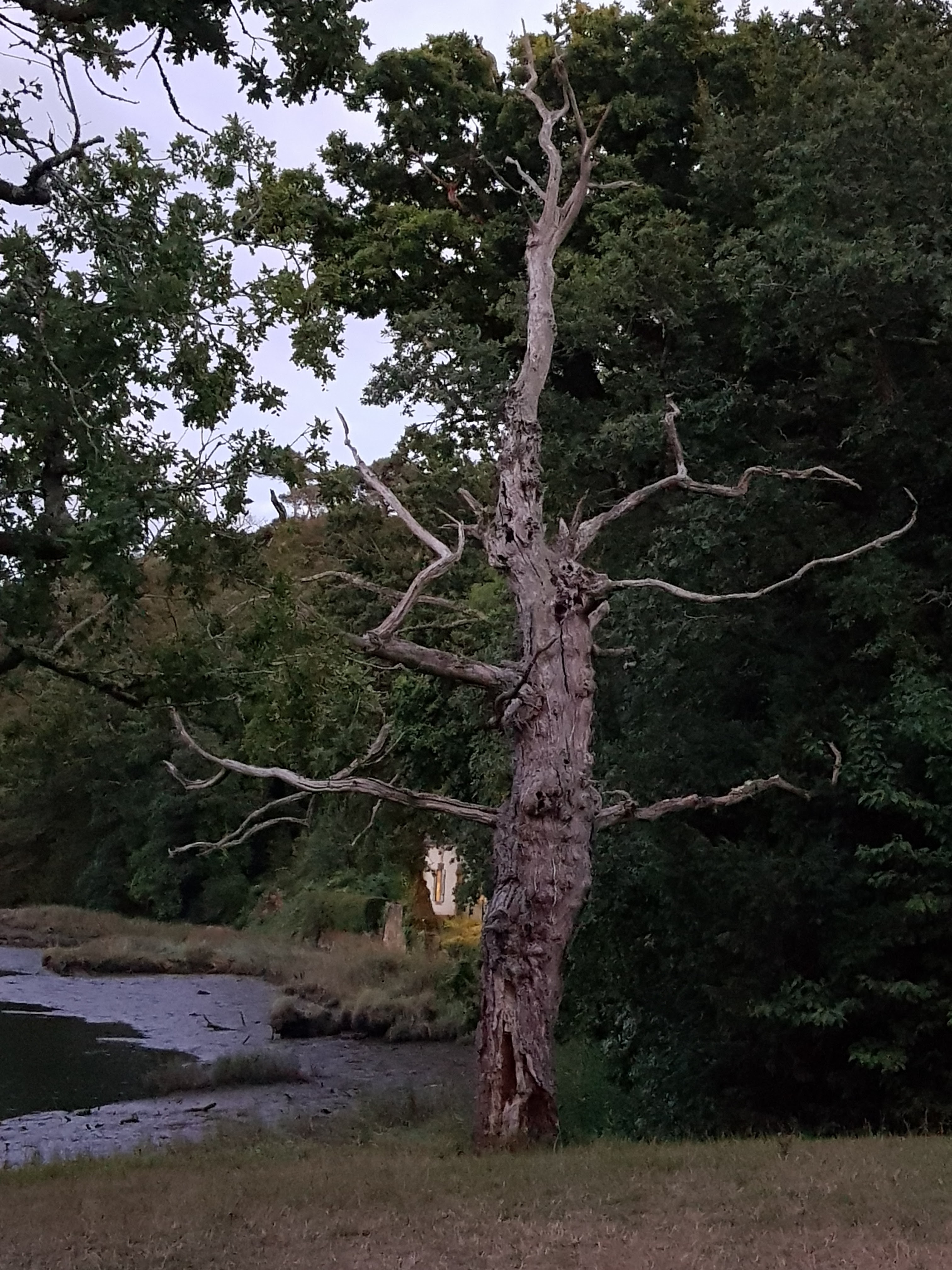 Photo n° 7 de l'avis de Stella.O fait le 13/08/2017 à 18:56