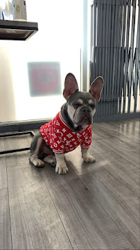 Top Dog Pet Store - Photo 9 - Car repair in La Mirada, CA, Long Beach