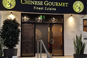 Chinese gourmet 美食 image