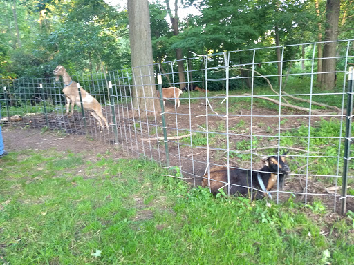 Park «Edgewood Park», reviews and photos, Edgewood Ave, New Haven, CT 06511, USA