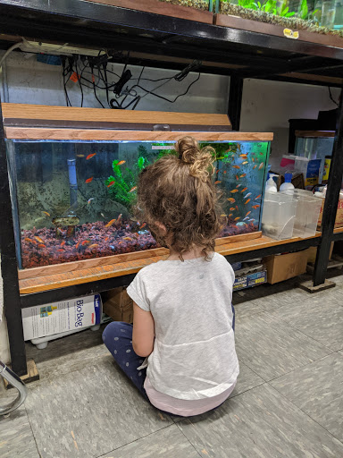 Pet Supply Store «Critterland Pets», reviews and photos, 336 Miller Ave, Mill Valley, CA 94941, USA