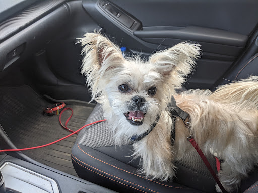 Pet Supply Store «PetSmart», reviews and photos, 13000 Aurora Ave N, Seattle, WA 98133, USA