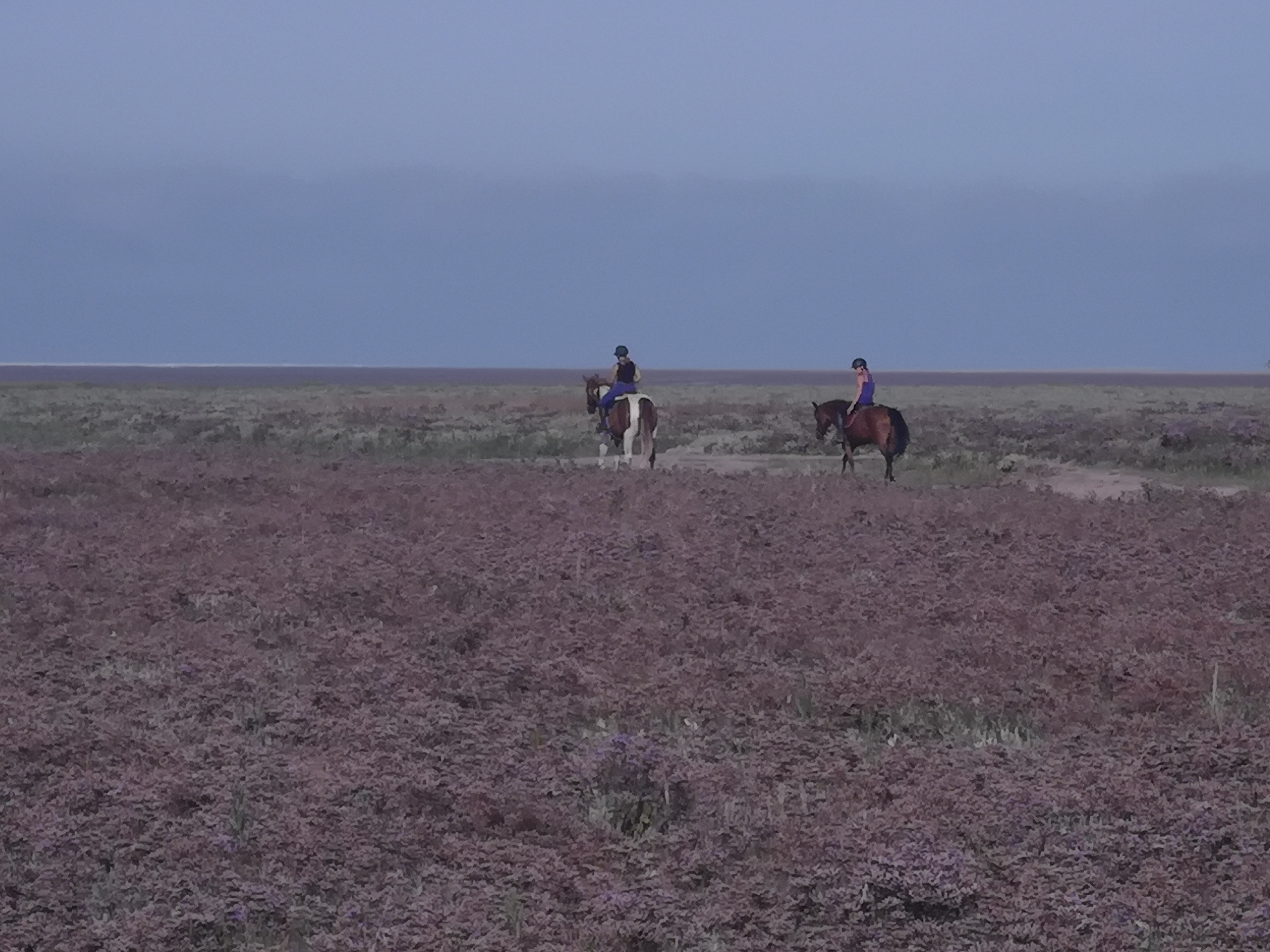Photo n° 1 de l'avis de Marc.a fait le 16/08/2023 à 16:55