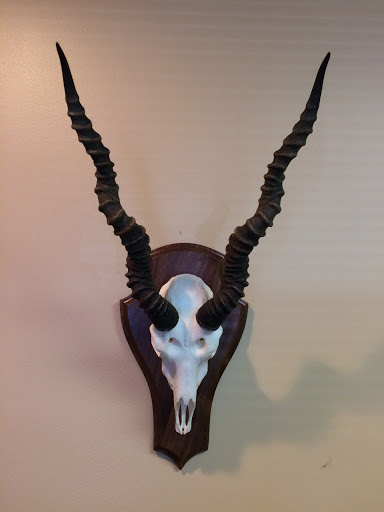 Insurance Agency «Koda Insurance Group», reviews and photos