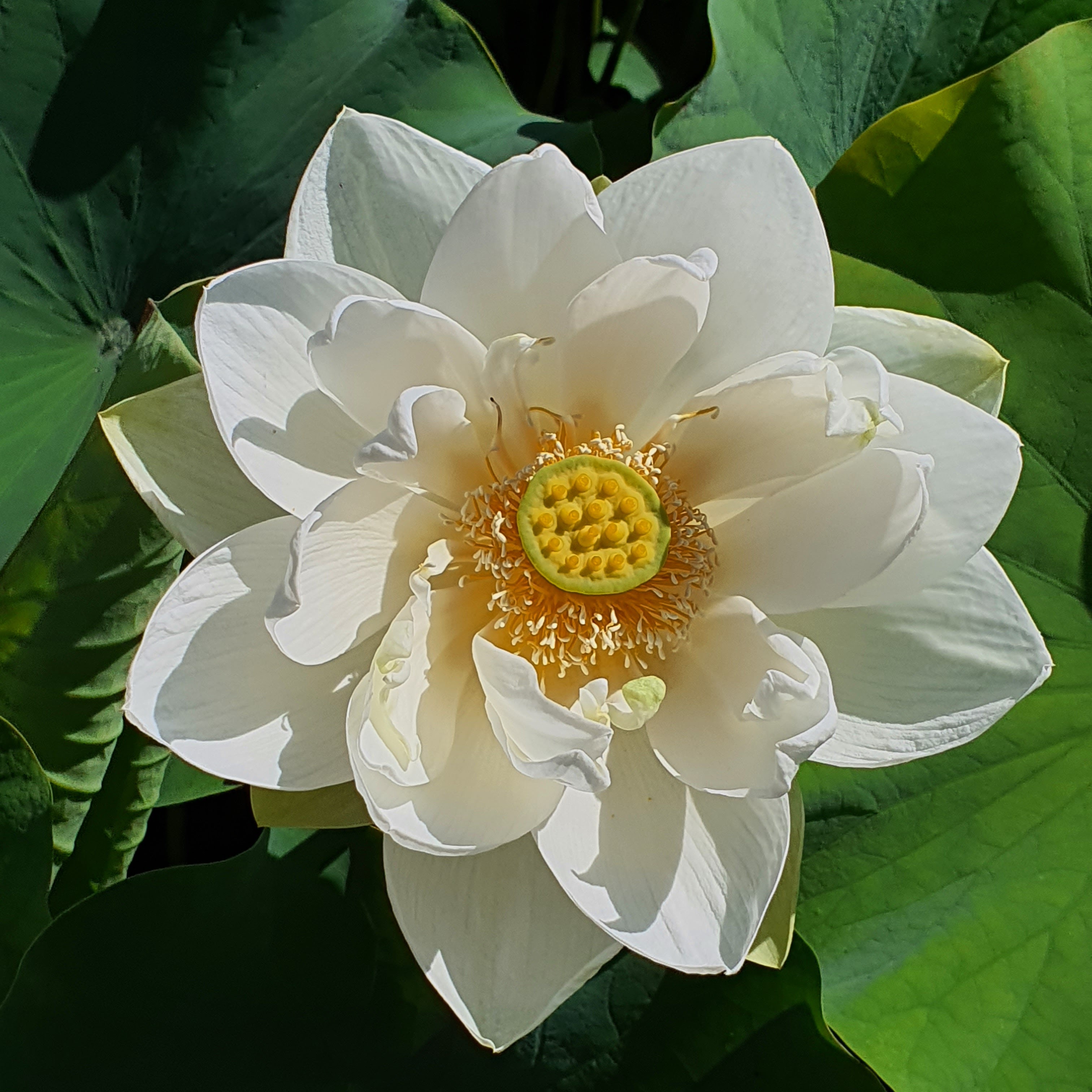 Photo n° 1 de l'avis de Guillaume. fait le 11/07/2021 à 10:11