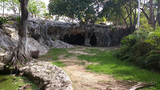 Cenote Park