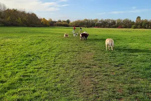 Broxtowe Country Park image