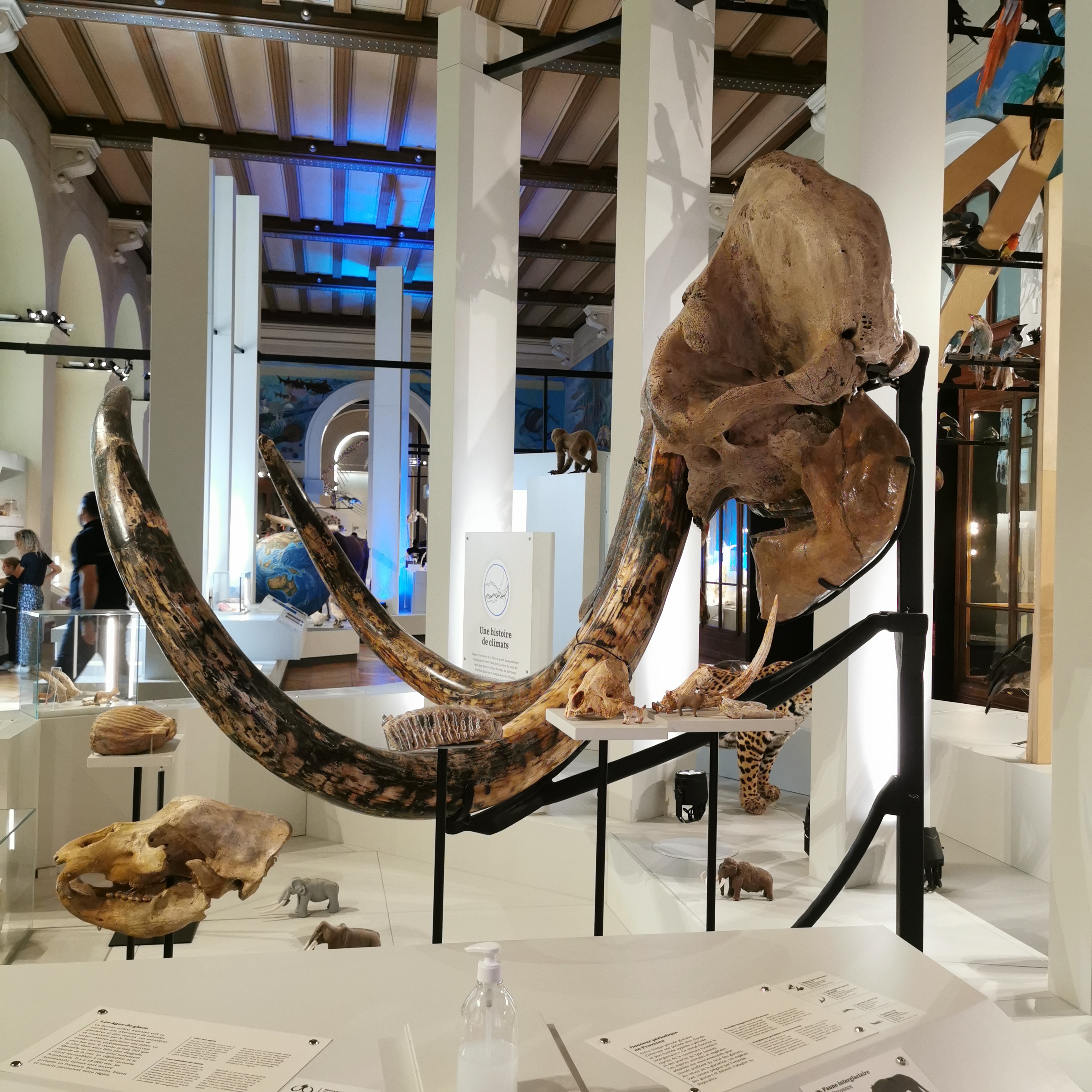 Photo n° 13 de l'avis de Laura.u fait le 22/12/2022 à 08:29