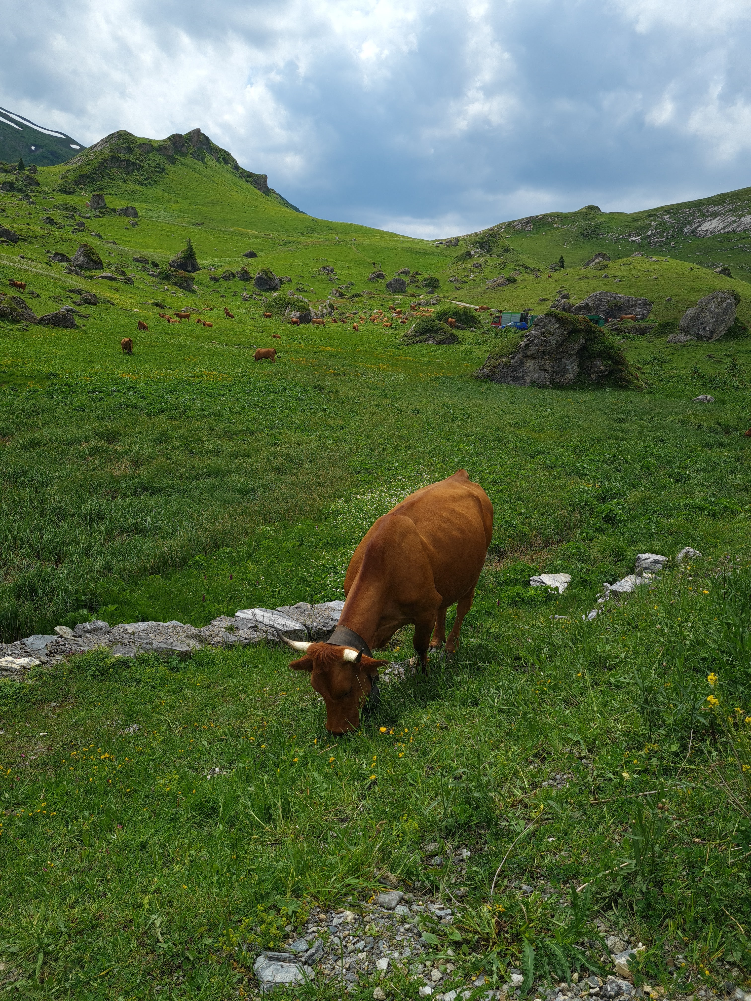 Photo n° 12 de l'avis de murielle.a fait le 08/07/2021 à 15:37
