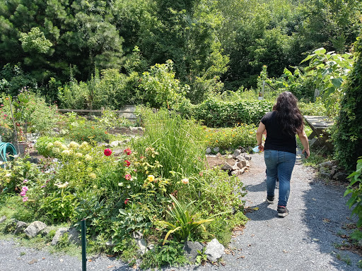 Nature Preserve «Blue Heron Nature Preserve», reviews and photos, 4055 Roswell Rd NE, Atlanta, GA 30342, USA