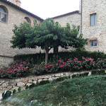 Photo n°2 de l'avis de Helmut.o fait le 28/07/2016 à 14:36 sur le  Castello di Montignano à Massa Martana