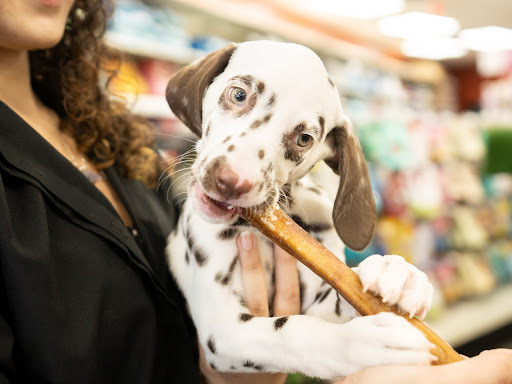 Pet Store «Petland of Plantation», reviews and photos, 801 S University Dr, Plantation, FL 33324, USA