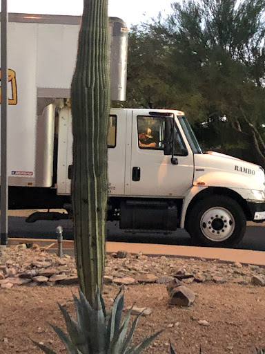 Moving Company «Muscular Moving Men, LLC», reviews and photos, 2255 W Desert Cove Ave b, Phoenix, AZ 85029, USA