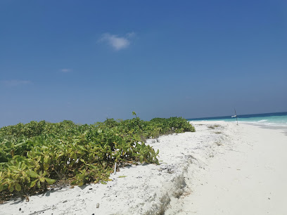 Beach Area