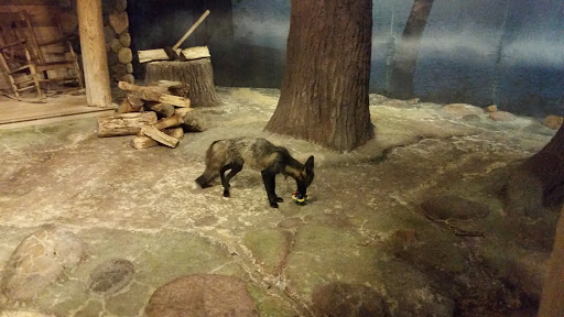 Gift Shop «Minnesota Zoo Gift Shop», reviews and photos, 13000 Zoo Blvd, Apple Valley, MN 55124, USA