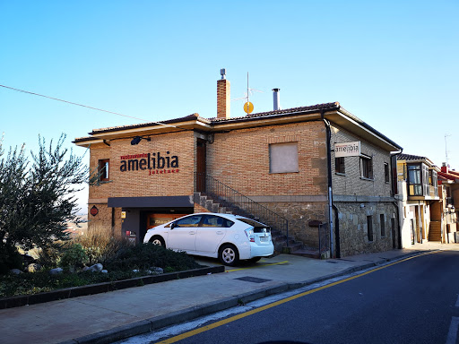 Restaurante Amelibia Jatetxea