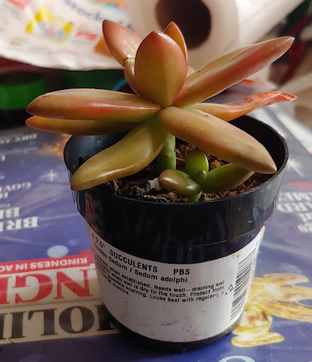 Home Improvement Store «The Home Depot», reviews and photos, 2021 Harrodsburg Rd, Lexington, KY 40504, USA