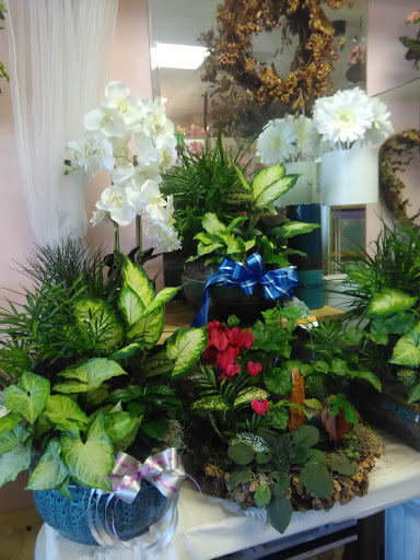 Florist «Annandale Plaza Florist», reviews and photos, 7328 Little River Turnpike, Annandale, VA 22003, USA