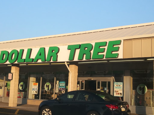 Dollar Store «Dollar Tree», reviews and photos, 1838 Stefko Blvd, Bethlehem, PA 18017, USA
