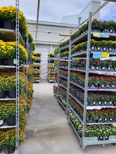 Department Store «Walmart Supercenter», reviews and photos, 25737 US-11, Evans Mills, NY 13637, USA