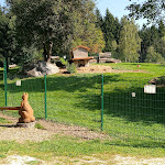 Photo n°5 de l'avis de Micha.i fait le 21/09/2023 à 15:03 sur le  Hotel Wastlsäge à Bischofsmais