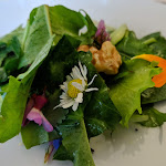 Photo n°6 de l'avis de Ho.m fait le 18/05/2019 à 18:27 sur le  L'ErbHosteria à Badia Tedalda