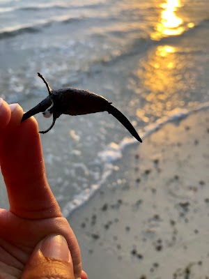 Mobbly Bayou Beach Park - photo 90