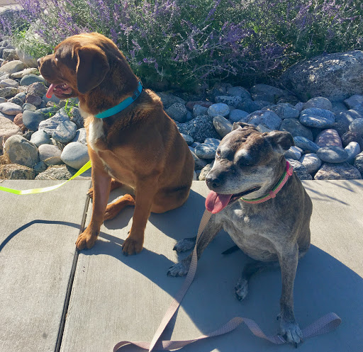 Park «Pi-Ute Park», reviews and photos, Main St, Colorado Springs, CO 80911, USA