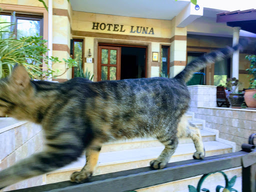 Luna Hotel Datça