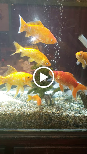 China Garden Restaurant image