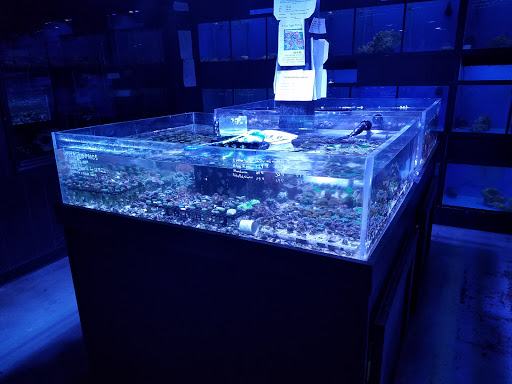 Pet Store «Specialty Pets», reviews and photos, 3 Bank St, Nitro, WV 25143, USA