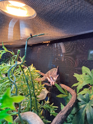 Pet Store «Greenwood Pets & Plants», reviews and photos, 13983 E 9 Mile Rd, Warren, MI 48089, USA