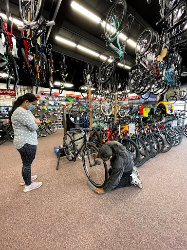 Bicycle Repair Shop «Emerys Cycling, Triathlon & Fitness», reviews and photos, 9929 W Lisbon Ave, Milwaukee, WI 53222, USA