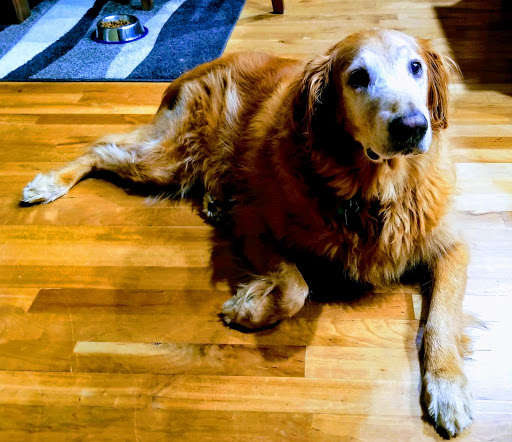 Vondra Veterinary Clinic image