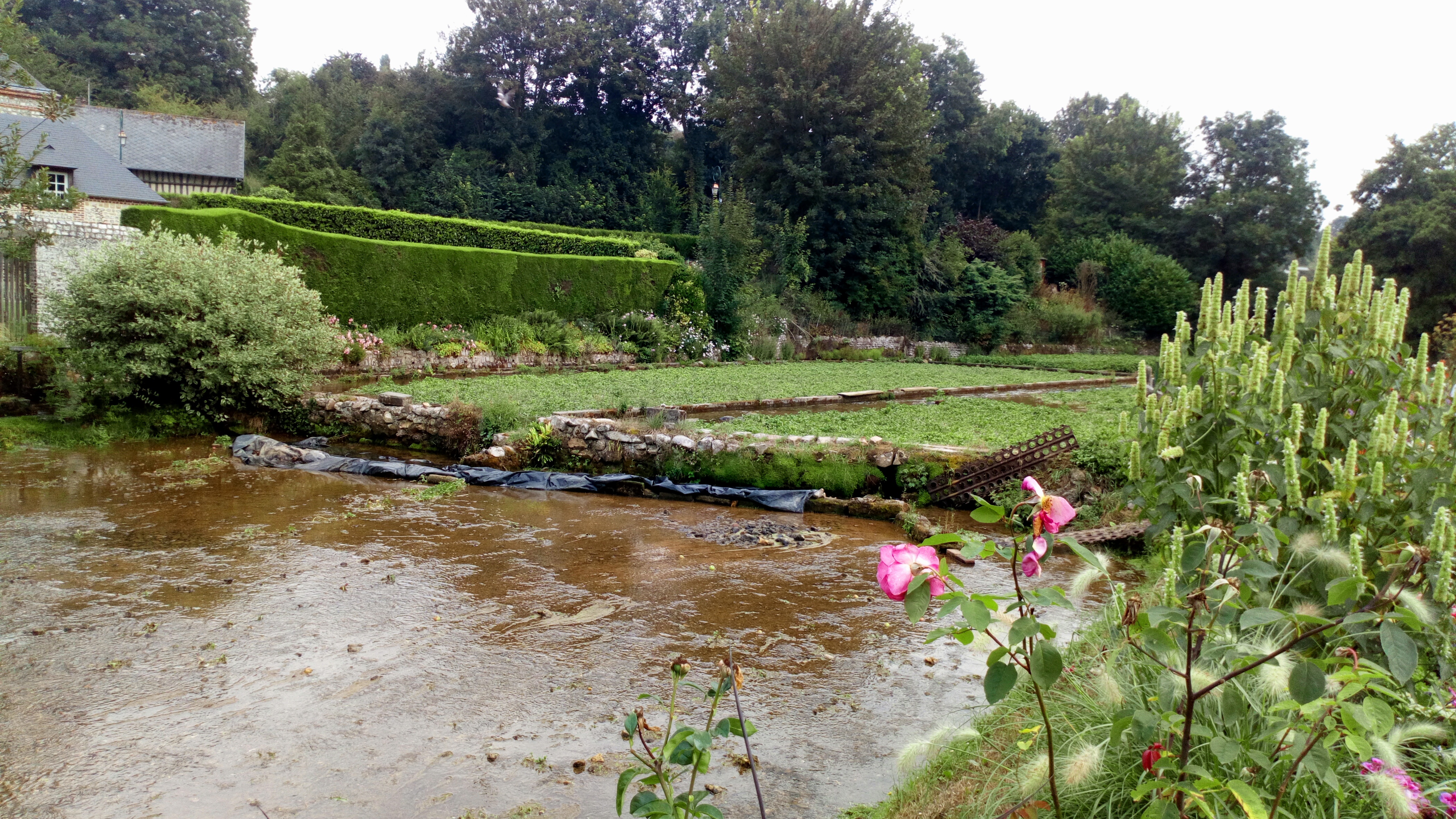 Photo n° 1 de l'avis de Rembert.u fait le 15/08/2018 à 05:50