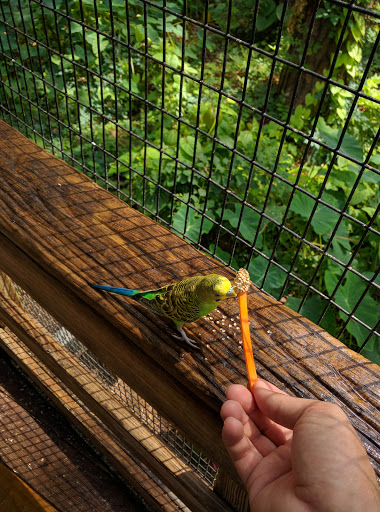 Zoo «ZooWorld Zoological and Botanical Conservatory», reviews and photos, 9008 Front Beach Rd, Panama City Beach, FL 32407, USA