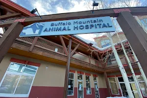 Buffalo Mountain Animal Hospital image