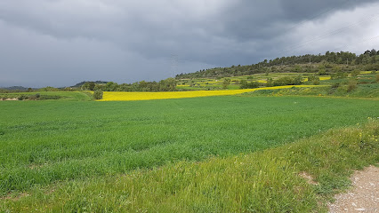 Bòbila - C-1412a, 37, 08281 Calonge de Segarra, Barcelona, Spain