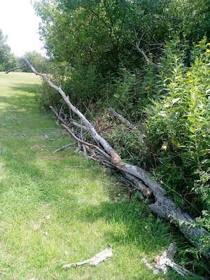 Tuscarora Park, Hollis Park District - photo 16