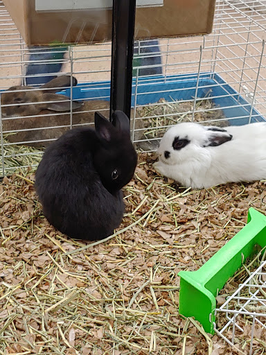 Pet Store «Greenwood Pets & Plants», reviews and photos, 13983 E 9 Mile Rd, Warren, MI 48089, USA