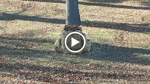 Park «Eastpointe Spindler Park», reviews and photos, 19400 Stephens Rd, Eastpointe, MI 48021, USA