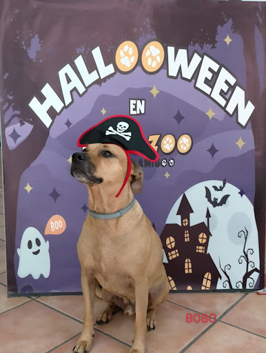 Interzoo - Riba-roja de Túria