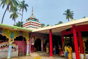Maa Bhadrakali Mandir(oldest kali temple) image