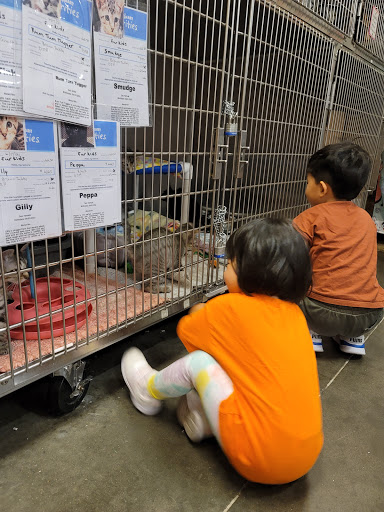 Pet Supply Store «PetSmart», reviews and photos, 1705 Mall of Georgia Blvd, Buford, GA 30519, USA