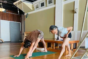 Iyengar Yoga Detroit image