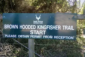 Brownhooded Kingfisher Trail image