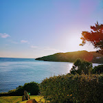 Photo n°3 de l'avis de Elena.. fait le 15/08/2020 à 18:51 sur le  Club Hotel Baja Sardinia à Baja Sardinia