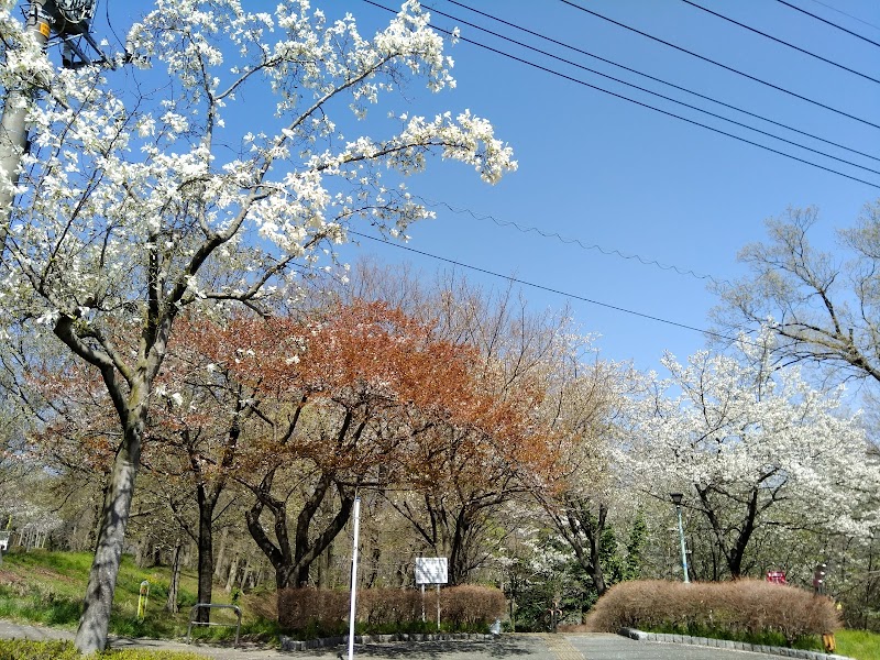 秦野市立南が丘小学校